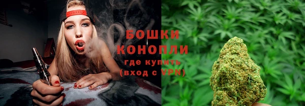 стафф Иннополис