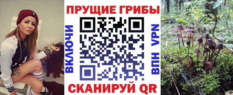 Купить закладки  Междуреченск  Галлюциногенные грибы мухоморы 